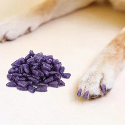Produktbild von Nagelpflegedops 100 Stück bunt Hunde