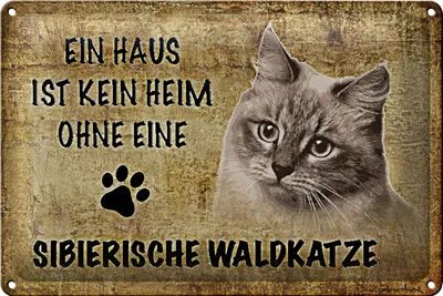 Produktbild von Blechschild Spruch 30x20cm sibierische Waldkatze Katze