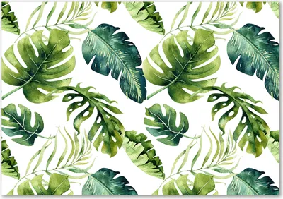 Produktbild von Tulup® Glas-Bild - 100 x 70 - Wandbild aus Glas - Wandkunst - Wandbild hinter gehärtetem Sicherheitsglas - Blumen & Pflanzen - Tropische Blätter - Grün
