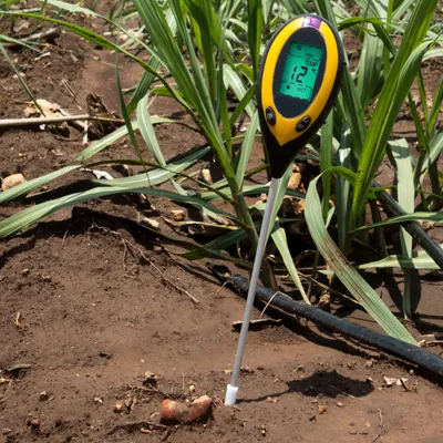 Produktbild von Miernik wilgotności Miernik roślin Miernik PH Miernik wilgotności Miernik gleby rolniczej Tester gleby Ogród Trawnik Tester wartości temperatury Farm Retoo