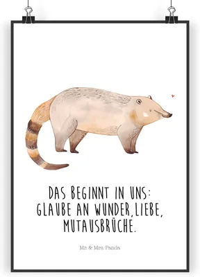 Produktbild von Mr. & Mrs. Panda Bild Nasenbär DIN A4 - Weiß - Geschenk, Wanddekoration, Kunstdruck, Lustige Sprüche, Bär, Plakat, Wandbild, drucke, Rüsselbär, Nasenbären