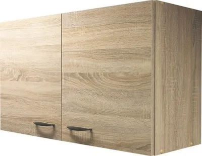 Produktbild von Flex Well Hängeschrank Oslo BxTxH 100 x 32 x 55 cm sonoma eiche matt zerlegt Anschlag links rechts 00010521