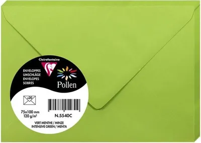 Obrázek produktu pro Pollen by Clairefontaine obálka mini, máta