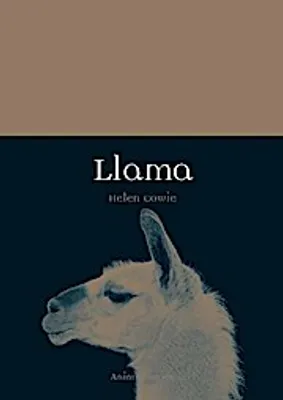 Produktbild von Llama