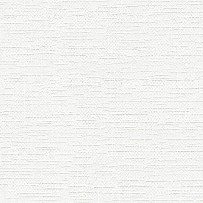 Obrázok produktu pre A.S. Création MV ProProtect2 250612