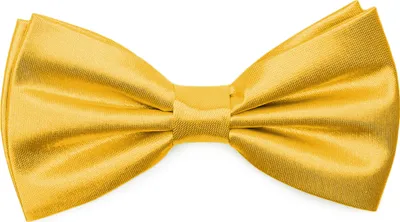 Produktbild von Ladeheid Elegante Herren Fliege -Hochwertig Glänzend Verstellbar BMS (12cmx6cm)
