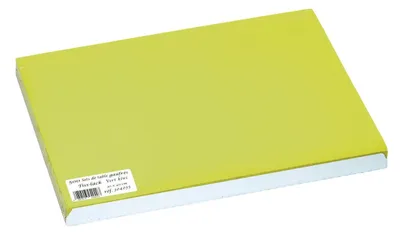 Imagen del producto de PROnappe 304035I  PROnappe Einweg-Tischset, 400 x 300 mm, kiwigrün