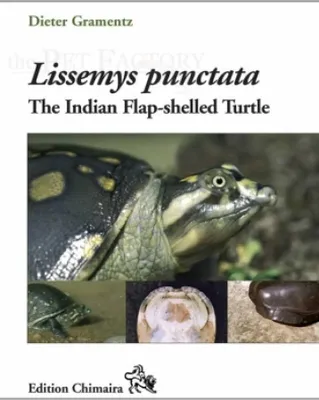 Immagine prodotto di Lissemys punctata - The Indian Flap-shelled Turtle