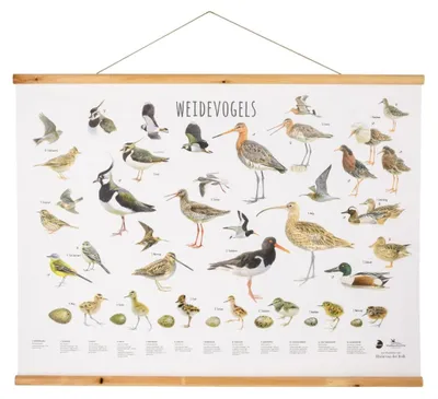 Productafbeelding van - Vogelbescherming Nederland