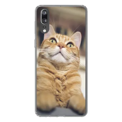 Produktbild von MuchoWow® Handyhülle Schutzhülle Hülle für Huawei P20 Katze - Bank - Orange Silikon Softcase Handy Hülle - Hardcover