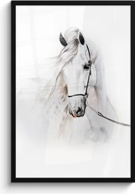 Produktbild von MuchoWow® MuchoWow® Gerahmtes Poster Pferd - Aquarell - Tiere - Weiß 60x90 cm - Poster mit zchwarzem Bilderrahmen - Kunst