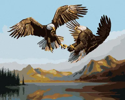 Produktbild von Zuty - Malen nach Zahlen - ADLER IM KAMPF - NAHAUFNAHME (D. RUSTY RUST), 40x50 cm, mit Keilrahmen (bereits gespannt)