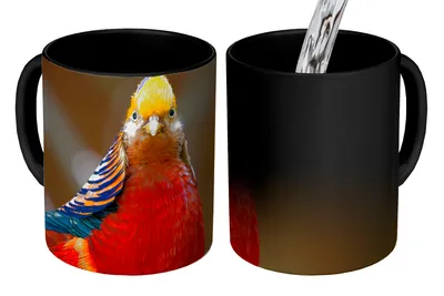 Obrázek produktu pro MuchoWow® Kouzelný pohár Bažant - Zlato - Zvířata 350 ml Barva měnící se pohár Dárkový nápad - foto hrnek