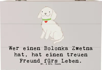 Produktbild von Mr. & Mrs. Panda Box Bolonka Zwetna 22 x 15 cm - Grau Pastell - Geschenk, schatztruhe, kleine Hunde, Aufbewahrungsbox Holz, Hunderassen Vielfalt, Holzbox mit Deckel