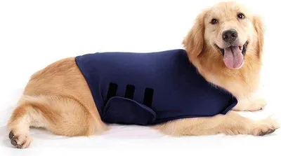Image de Sac de transport sportif Ruiqas pour chiens – Détente et réduction du stress pour les jeunes et les plus âgés