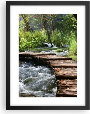 Produktbild von Gerahmtes Poster - Schwarzer Rahmen - Park natur grün bäume - 30x40 cm - Wand Bild - Wanddeko - Wandbilder - Kunstposter - Wandposter - Bilderrahmen - Bilder - Kunstdruck - Wandbild - P2BPA30x40-0356