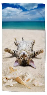Imagen del producto de Toalla de playa "Buenos días", 75x150 cm - gato en la playa