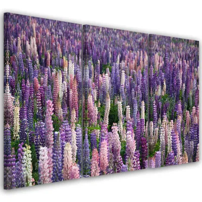 Produktbild von Triptychon auf leinwand blumen - violett 90x60 cm Feeby lila wandbild bereit zum aufhängen