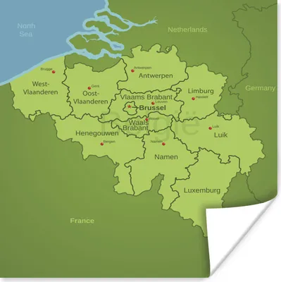 Produktbild von MuchoWow® Poster Eine Illustration von Belgien mit seinen Provinzen 50x50 cm - Wohnzimmerdekoration