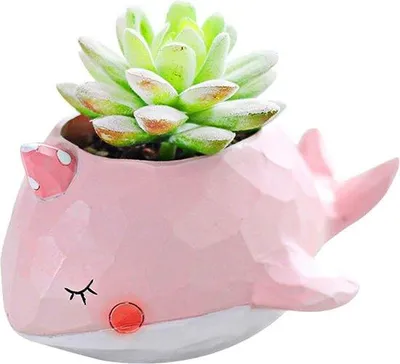 Produktbild von Kleine rosa Keramikpotten für drinnen