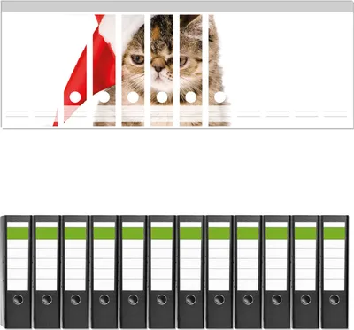 Produktbild von Wallario 12 Stück breite Ordner inkl. Klebeetiketten mit Motive Ich hasse Weihnachten - mürrische Katze mit Weihnachtsmütze -  Set mit Rückenschildern / Ordnerrücken Stickern
