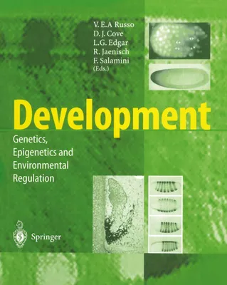 Produktbild von Development