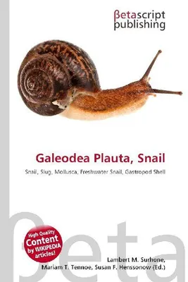 Produktbild von Galeodea Plauta, Schnecke