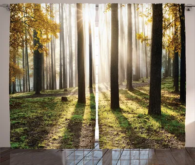 Produktbild von ABAKUHAUS Natur Rustikaler Vorhang, Waldblätter bei Sonnenaufgang, Wohnzimmer Universalband Gardinen mit Schlaufen und Haken, 280 x 260 cm, Gold