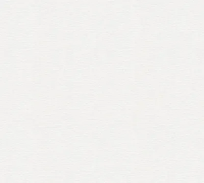 Obrázek produktu pro A.S. Création netkaná tapeta Meistervlies Pro Protect 2, bílá, malovatelná, 25,00 m x 1,06 m, 250612, 2506-12