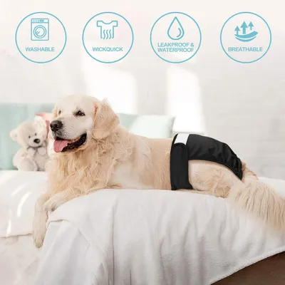 Produktbild von Wiederverwendbare Hundehöschen Für Hündinnen, 3 Stück, Hochabsorbierend Mit Wasserdichter TPU-Schicht, Für Läufigkeit Und Inkontinenz