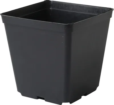 Produktbild von leichter quadratischer Blumentopf 9x9x10cm SCHWARZ (10 Stück)