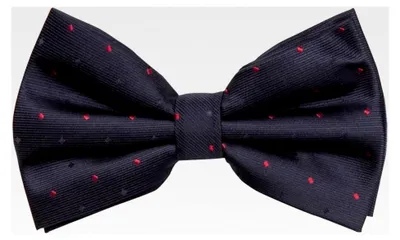 Produktbild von Elegante gepunktete Herrenfliege für jeden Anlass in verschiedenen Farben