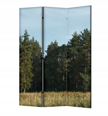 Produktbild von framed concept - Paravent Raumteiler Holz 135x172 cm, 3-teilig beidseitig, Sichtschutzwand