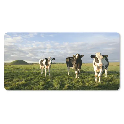 Produktbild von MuchoWow® Schreibtischunterlage Kuh - Sonne - Tiere 80x40 cm - XXL Mauspad - Gaming Mauspad