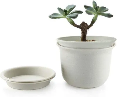 Immagine prodotto di Vaso da fiori in plastica, diametro interno ed esterno 15 cm