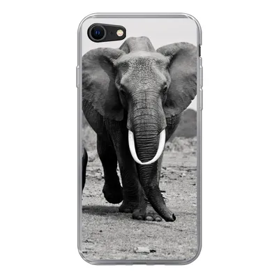 Produktbild von MuchoWow® Handyhülle Schutzhülle Hülle für iPhone SE 2020 Elefant - Kind - Schwarz - Weiß Silikon Softcase Handy Hülle - Kartenbesitzer