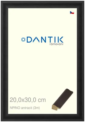 Obrázok produktu pre Rám DANTIK 20x30 | NPINO antracit (sklo číre)