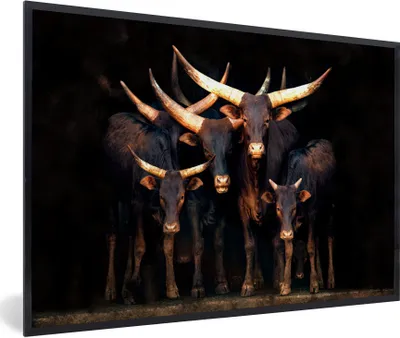 Produktbild von MuchoWow® MuchoWow® Gerahmtes Poster Kuh - Watussie - Stier - Schwarz 90x60 cm - Poster mit zchwarzem Bilderrahmen - Fotorahmen - Foto-Plakat