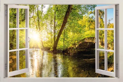 Produktbild von Maxiposter Forest Window 91,5x61 cm