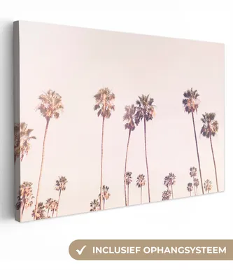Produktbild von OneMillionCanvasses® - Leinwandbilder - 150x100 cm, Palmen - Sonne - Natur - Himmel, Wandbilder Kunstdruck Wanddekoration - Foto auf Leinwand - Gemälde auf Holzrahmen