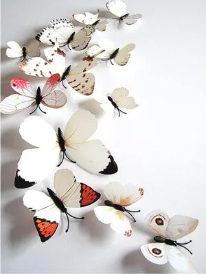Produktbild von Oblique Unique 3D Schmetterlinge 12er Set für die Wand zum Kleben Wandtattoo Wandsticker Wanddeko - weiß