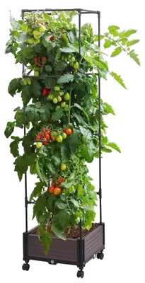 Productafbeelding van Verhoogd Tuinbed met Wielen voor Planten en Bloemen