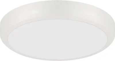 Immagine prodotto di Plafoniera LED D: 17 cm rotonda Luce bianca neutra 4400 K 1450 lm