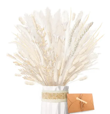 Imagen del producto de Hierba de pampa seca, color blanco, 75 cm, ramo de flores Lagurus para decorar el hogar