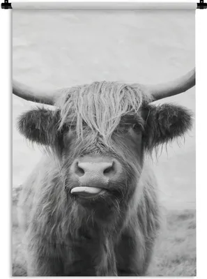 Produktbild von MuchoWow® Wandteppich Wandbehang Tiere - Schottischer Highlander - Kuh - Schwarz - Weiß 60x90 cm Tapisserie Dekoration Wandtuch - Foto-Teppich - Abwaschbar