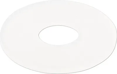 Produktbild von Spülkastenscheibe 20,5 x 58 x 3 mm für Jomo