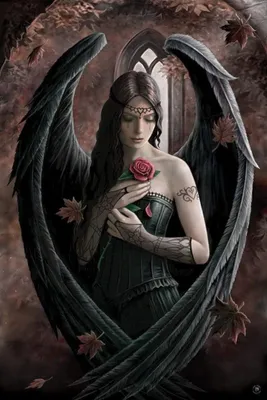 Image de Affiche grand format - Anne Stokes (Angel Rose)