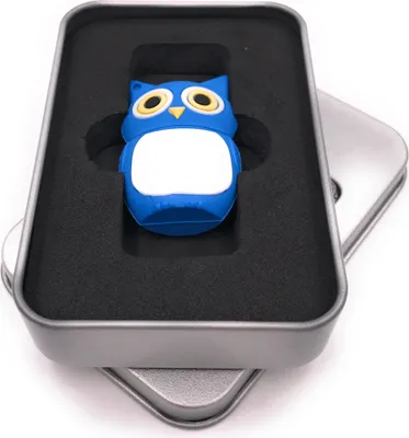 Produktbild von Onwomania Eule Vogel in Blau USB Stick in Alu Geschenkbox 16 GB USB 2.0
