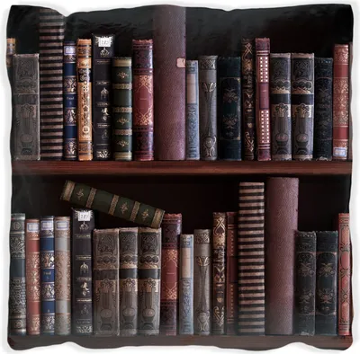Produktbild von Wallario Premium Kissen, weiche Oberfläche, mit Motiv Bücherregal mit alten Büchern, Größe: 40 x 40 cm, mit weißer Rückseite