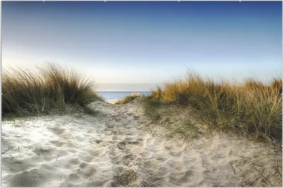Produktbild von Wallario Wandbild Weg durch die Dünen zum Strand am Meer, Größe: 61 x 91,5 cm, Poster mit rahmenlosen Bildhalter